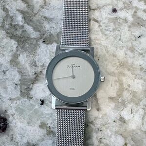 Skagen Silver Mesh Band Watch - Silver